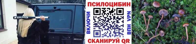 Галлюциногенные грибы мицелий  Кущёвская 