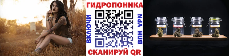 Бошки Шишки Ganja  Кущёвская 